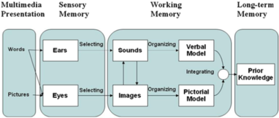 Visualization, Human Brain and Mind, Scientists | Dinesh Naidu